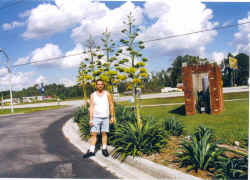 paulBflorida_agaveflower.jpg (127190 bytes)