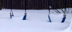 swings_snow_2003_dec7r.jpg (22487 bytes)