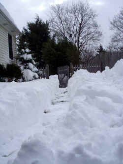 welcometomygarden_snow_2003_dec7r.jpg (74729 bytes)