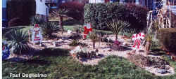 yucca_garden_paul.jpg (81808 bytes)